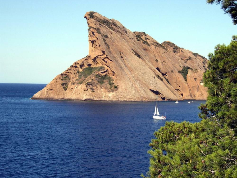 Appart. 4 Pers A 6 Kms De Cassis Avec Acces Piscine ロックフォール・ラ・ベドゥール エクステリア 写真